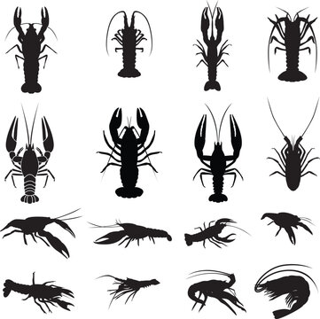 Set of crayfish silhouettes 
