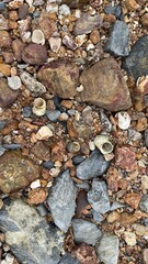 The background stone wall texture