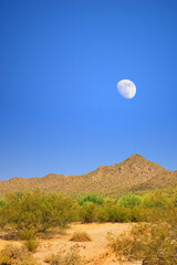 Fototapeta na wymiar Moon Rising San Tan Mountains Sonora Desert Arizona