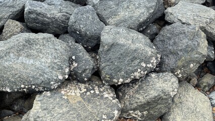 close up of a rock