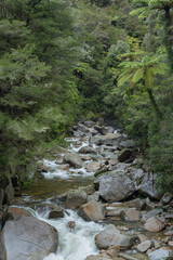 Fototapeta na wymiar ニュージーランド　ゴールデン・ベイにあるワイヌイ・フォールズから流れるワイヌイ川