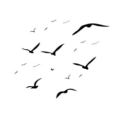 A Hand Drawn Flock of Flying Birds. Monochrome Bird Silhouettes. Design for an invitation, greeting, comicbook, illustration, card, postcard. Illustration isolated on a white background. Vector