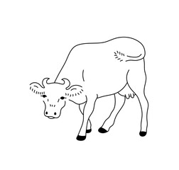 Vector isolated one single standing cow side view colorless black and white contour line easy drawing