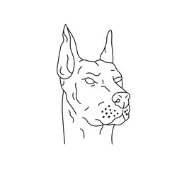 Vector isolated one single angry doberman dog head  colorless black and white contour line easy drawing