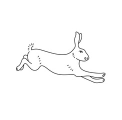 Vector isolated one single rabbit hare jumping running side view colorless black and white contour line easy drawing