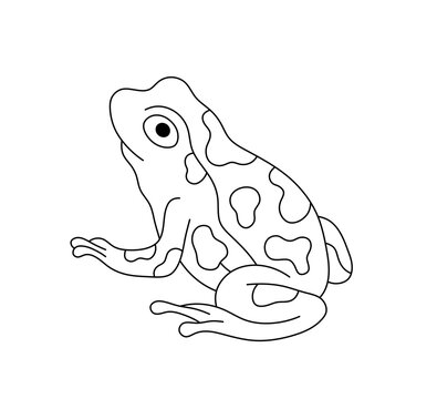 Vector isolated one single simplest sitting frog or toad with spots colorless black and white contour line easy drawing