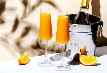Mimosa summer cocktail drink with orange juice and cold dry champagne or sparkling wine in glasses....