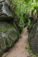 ニュージーランド　ゴールデン・ベイにあるラビリンス・ロックス Labyrinth Rocks