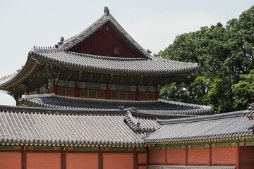 Fototapeta premium Korean Palace in Early Summer