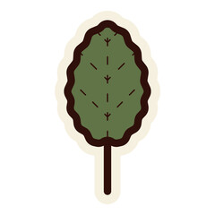 leaf illustration