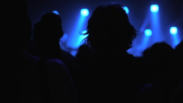 Crowd's shadow at summer festival