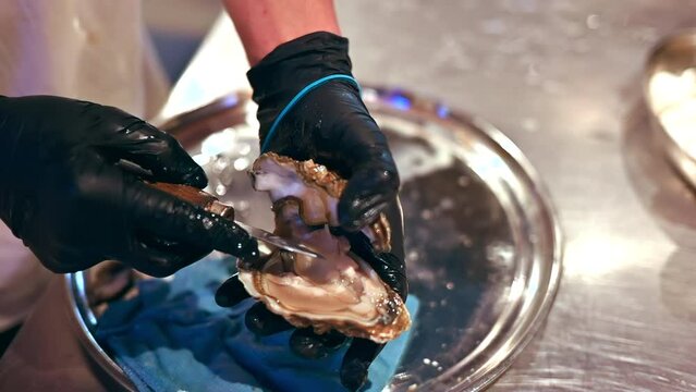 Man hands cleaning and opening oysters with special knife at seafood restaurant, slow motion