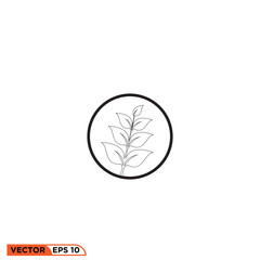 plant twigs icon vector graphic of template 