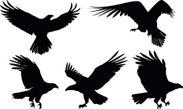 set of flying eagle silhouettes
