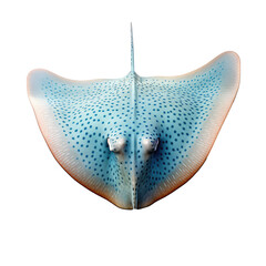 Stingray on a transparant background, PNG, Generative Ai.