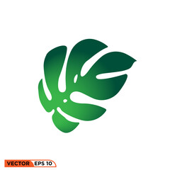 Monstera leaf icon vector graphic of template