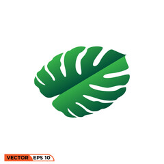 Monstera leaf icon vector graphic of template