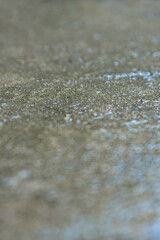 texture, wet cement, wet floor, cement texture, surface, wallpaper, background, cement floor, wet cement floor, wet floor