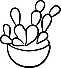 Cactus plant Succulent Desert