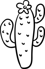 Cactus plant Succulent Desert