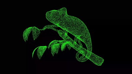 3D chameleon on black background. Object made of shimmering particles. Wild animals concept. Protection of the environment. For title, text, presentation. 3d animation.
