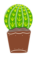 tree in a pot