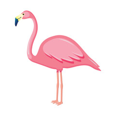 Vector Pink Flamingo Illustration