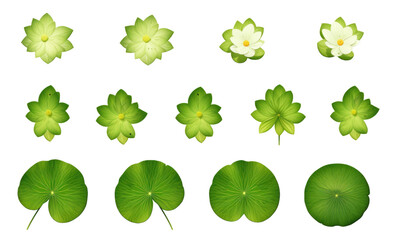 collection of lily pads and lotus flowers isolated on a transparent background, generative ai