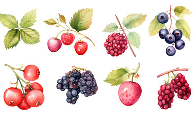 collection of soft watercolor berries isolated on a transparent background, generative ai