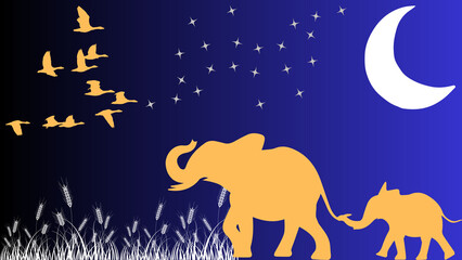 Beautiful Africa by night - Fascinating wildlife - lovely background illustration with elefants and birds - african nature