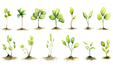 collection of soft watercolor seedlings isolated on a transparent background, generative ai