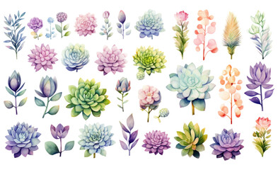 collection of soft watercolor succulents and cacti flowers isolated on a transparent background, generative ai
