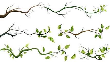 collection of twisted jungle branches with leaves isolated on a transparent background, generative ai