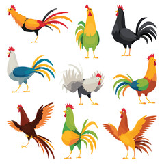 Farm cock icons. Set of adorable cock animal at dawn. Colorful rooster, poultry farming vector Illustration on white background