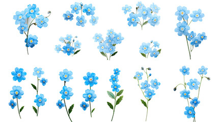 collection of forget-me-nots flowers isolated on a transparent background, generative ai
