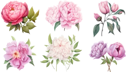 Rolgordijnen collection of soft pastel peonies and roses flowers isolated on a transparent background, generative ai © Perfect PNG