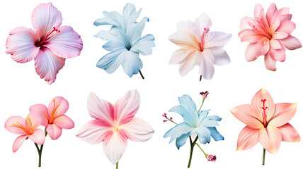 collection of soft pastel tropical flowers isolated on a transparent background, generative ai