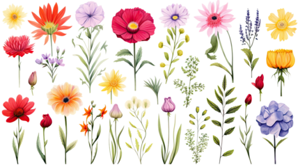 collection of hand drawn summer flowers isolated on a transparent background, generative ai