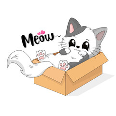 cute cat in a cardboard