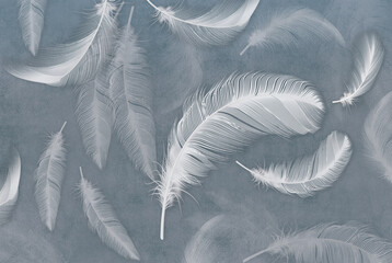 feather on blue