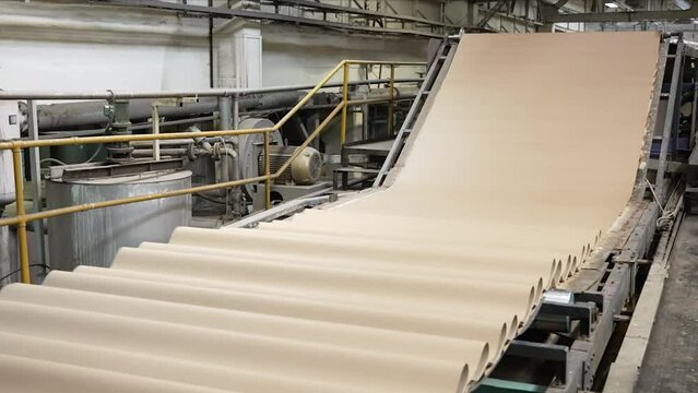 Enterprise for the production of cardboard containers .   Manufacture of cardboard boxes and corrugated packaging.