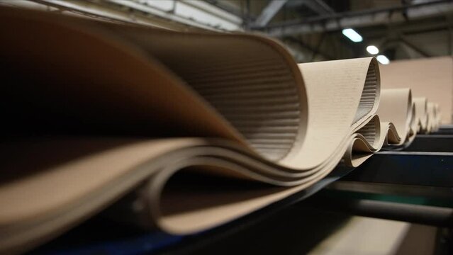 Enterprise for the production of cardboard containers .   Manufacture of cardboard boxes and corrugated packaging.