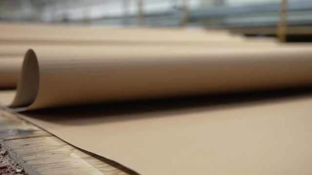 Enterprise for the production of cardboard containers .   Manufacture of cardboard boxes and corrugated packaging.