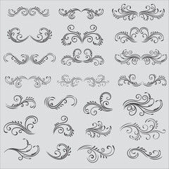 Vector illustration graphic elements for design, Swirl elements decorative illustration