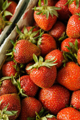 Fresh, ripe strawberries in a cardboard bowl.