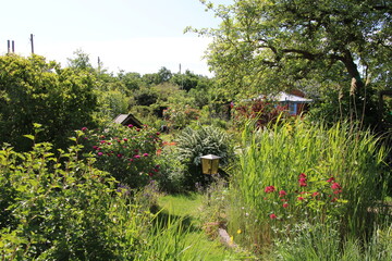 Lush gardens | Stadtwerder in Bremen, Germany
