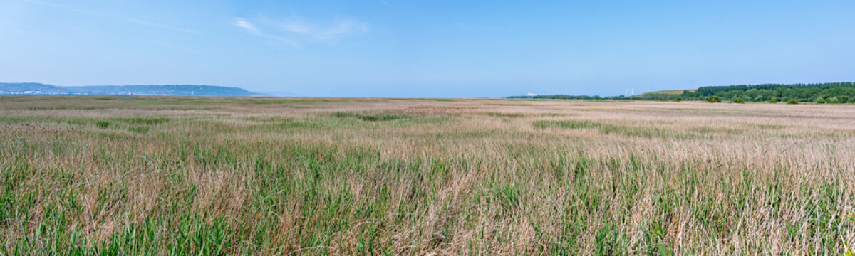 panoramic image of the grassy landscape in the nature conservation area at the river outfall of the Seine in the Normandy, France