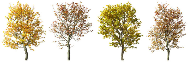 Seasonal autumn trees set cutout backgrounds 3d render png