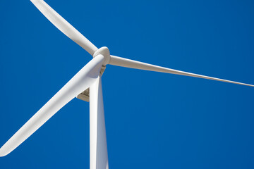 Wind turbine generator for sustainable electricity production