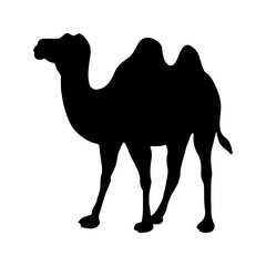 camels silhouette vector1